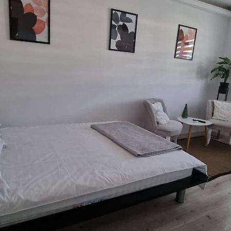 Radu'S Room Curtea De Arges Exterior photo